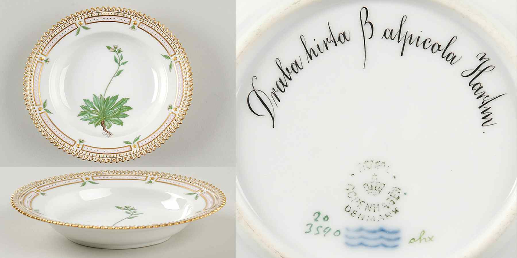 Flora Danica (1790 To 1960) Rim Fruit/Soup Bowl-Draba hirta B alpicola Hartm by Royal Copenhagen-1