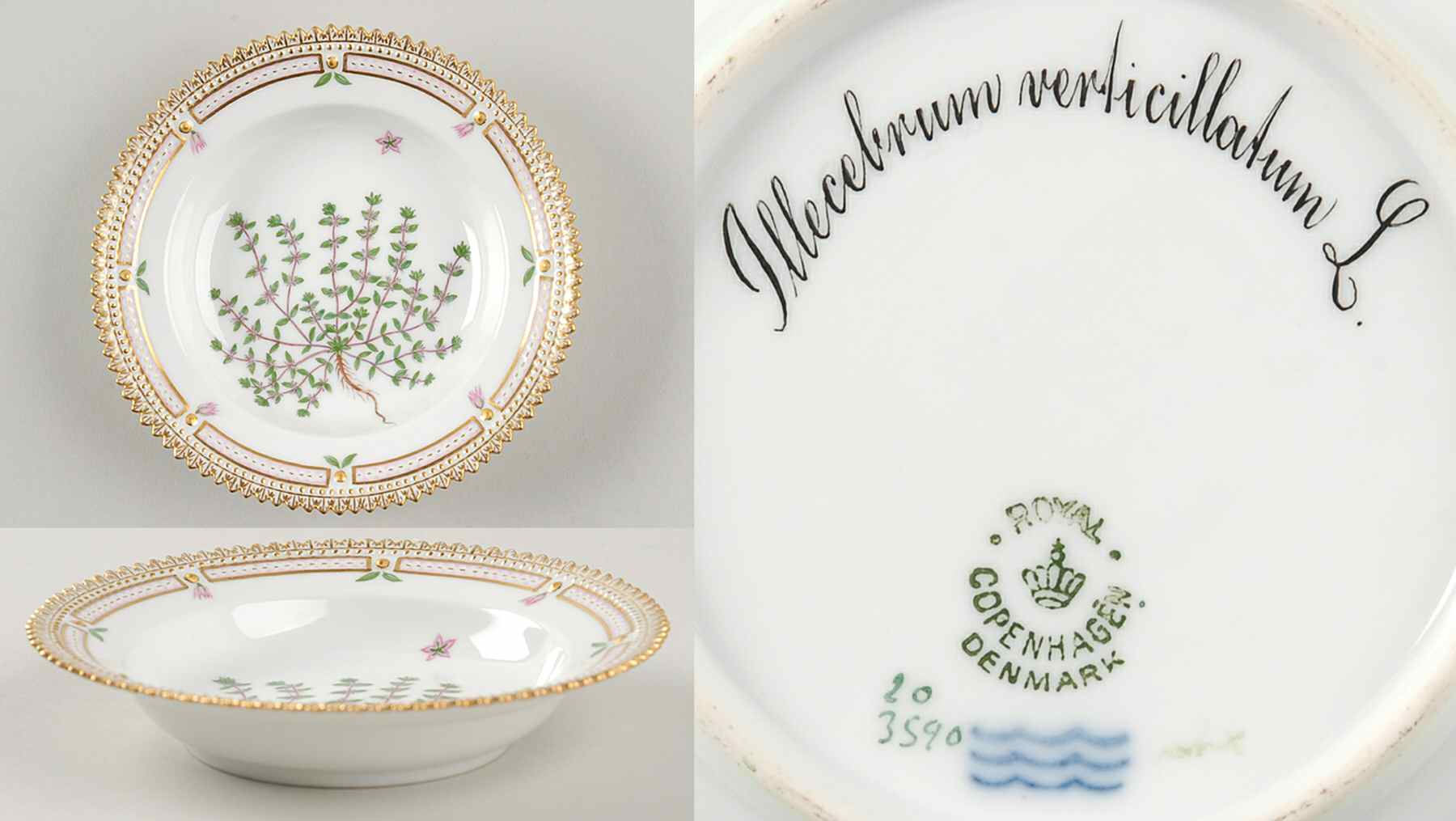 Flora Danica (1790 To 1960) Rim Fruit/Soup Bowl-Illecebrum verticillatum L by Royal Copenhagen-1