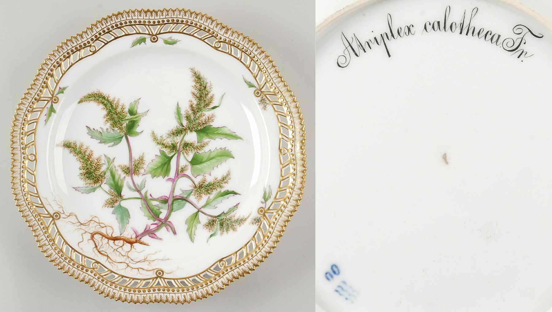 Flora Danica (1790 To 1960) 10" Round Pierced Platter-Atriplex calotheca Fr by Royal Copenhagen-1
