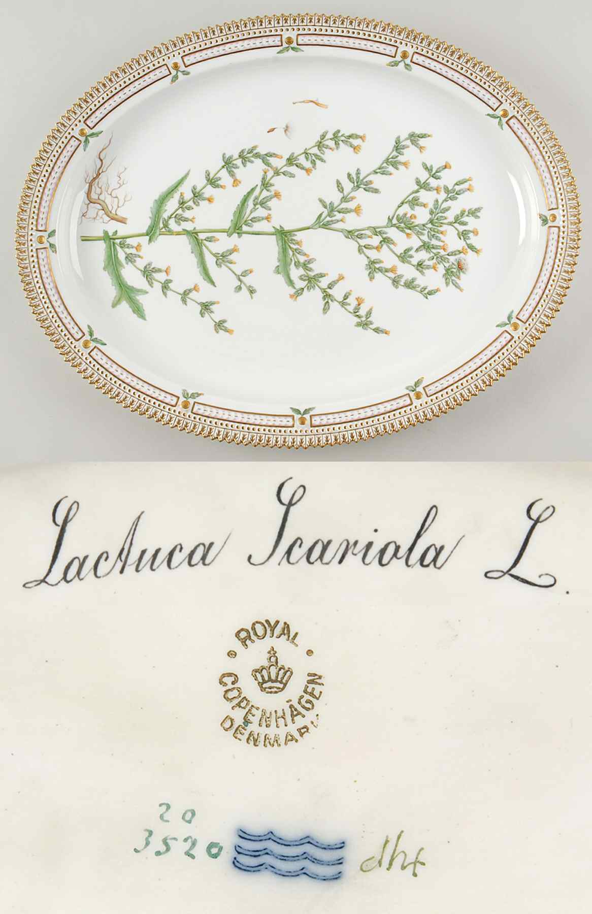 Flora Danica (1790 To 1960) 18" Oval Serving Platter-Lactuca scariola L by Royal Copenhagen-1