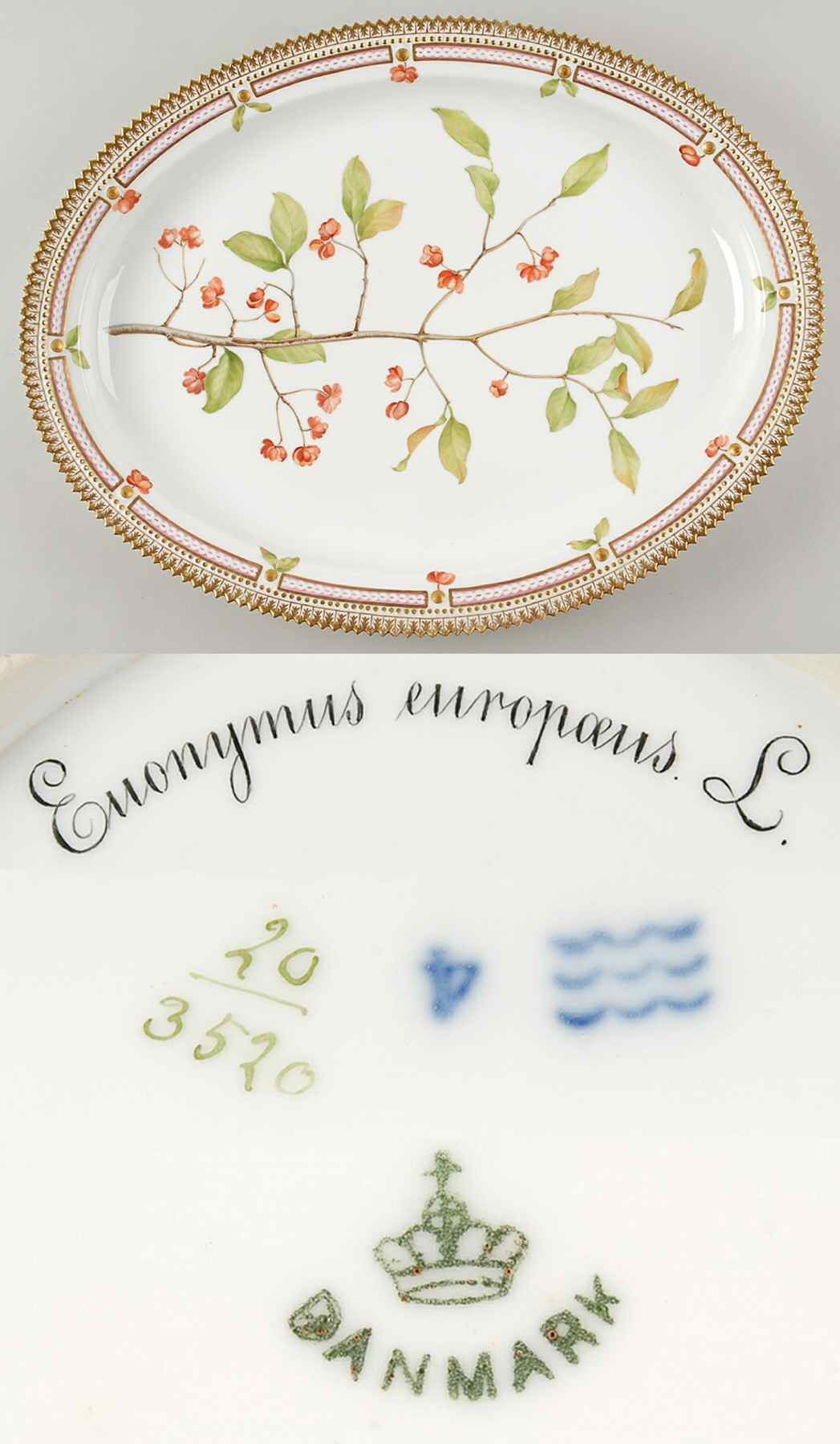 Flora Danica (1790 To 1960) 18" Oval Serving Platter-Euonymus europaeus L by Royal Copenhagen-1