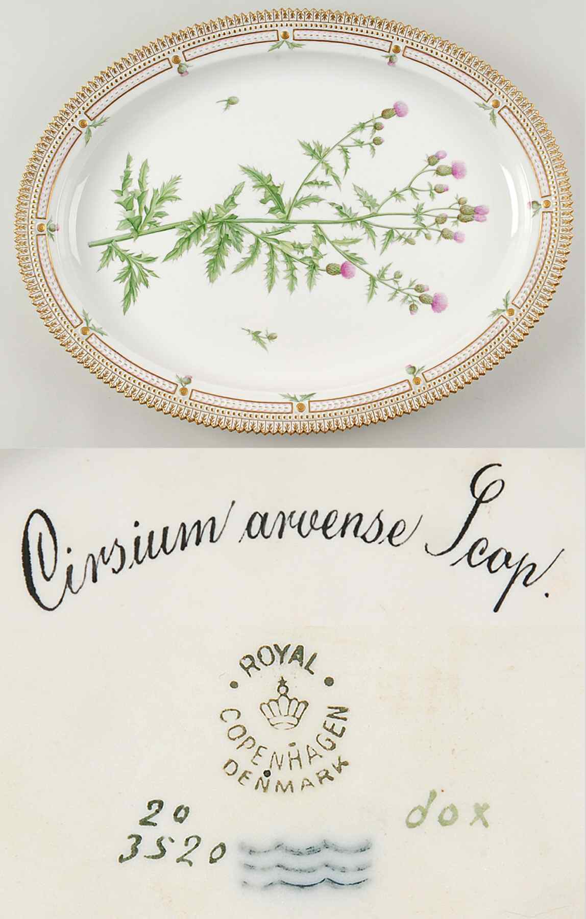 Flora Danica (1790 To 1960) 18" Oval Serving Platter-Cirsium arvense Scop by Royal Copenhagen-1