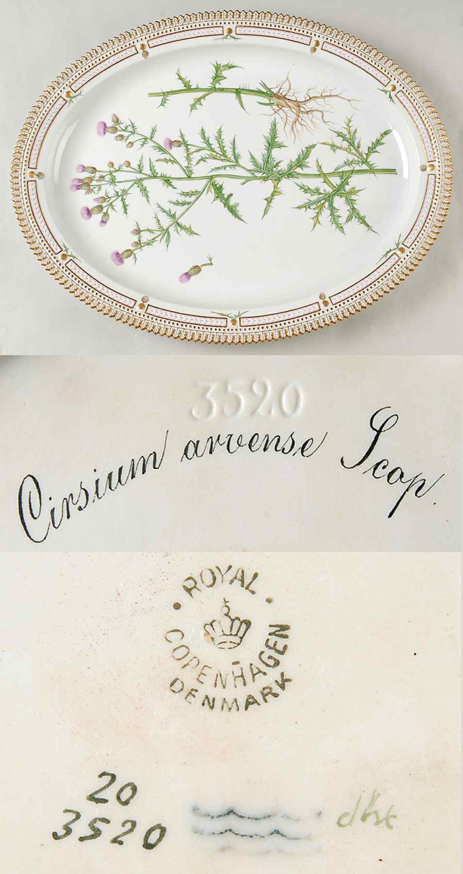 Flora Danica (1790 To 1960) 18" Oval Serving Platter-Cirsium arvense Scop by Royal Copenhagen-1