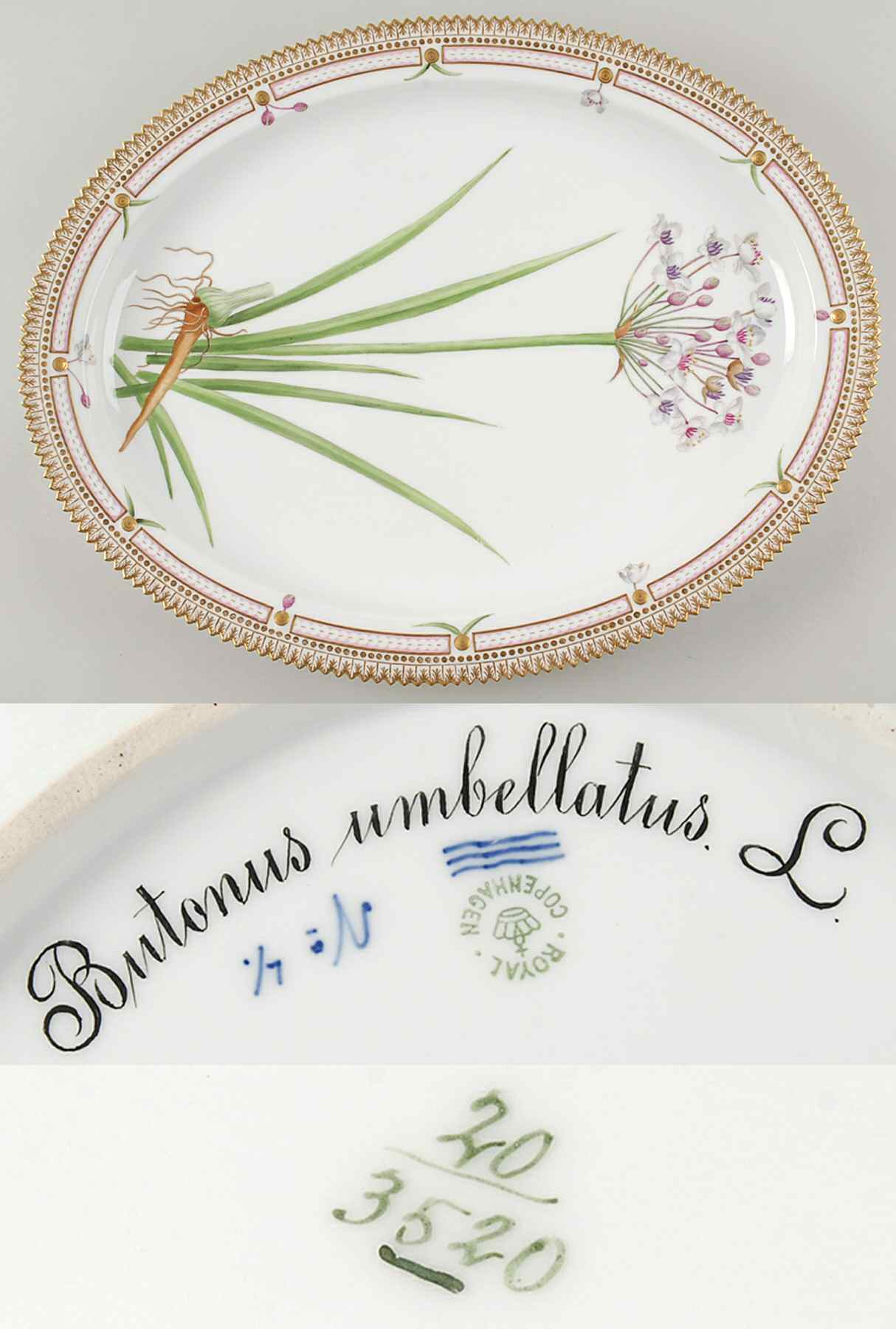 Flora Danica (1790 To 1960) 18" Oval Serving Platter-Butonus unbellatus L by Royal Copenhagen-1