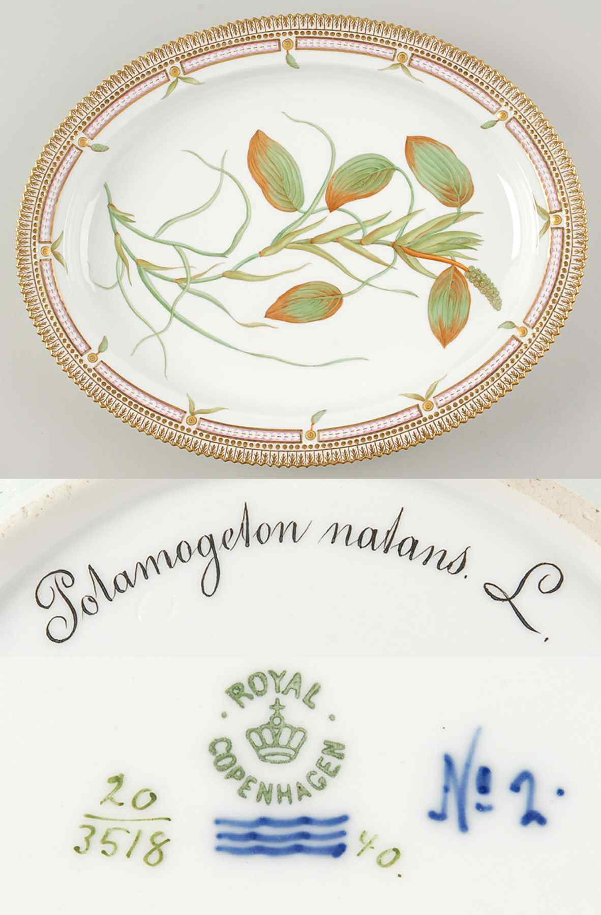 Flora Danica (1790 To 1960) 15" Oval Serving Platter-Potamogeton natans L by Royal Copenhagen-1