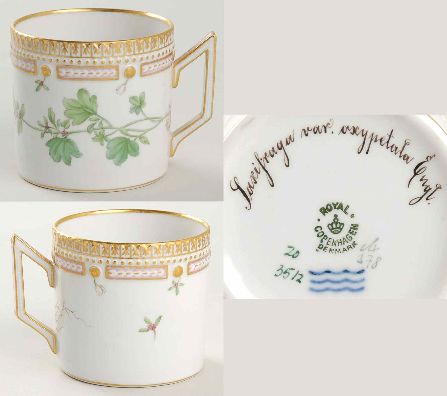 Flora Danica (1790 To 1960) Chocolate Cup-Saxifraga var oxypetala Engl by Royal Copenhagen-1