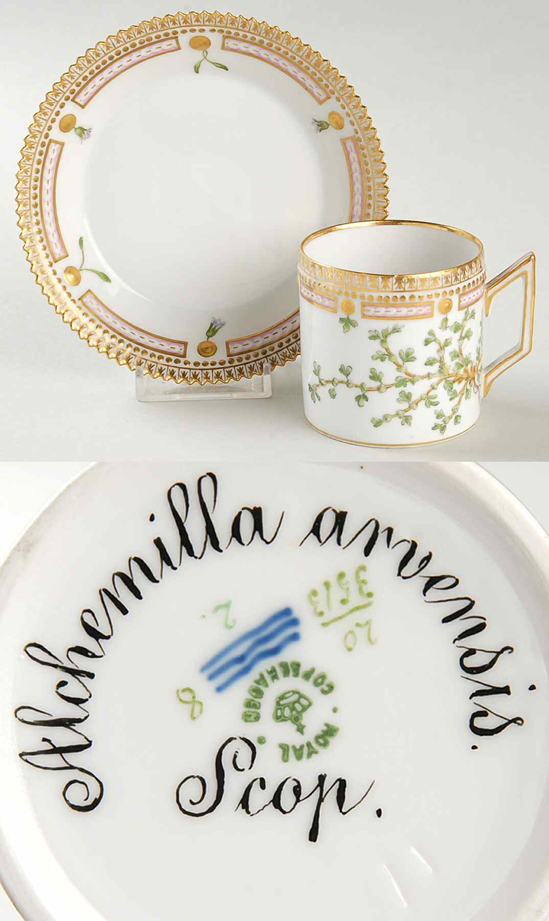 Flora Danica (1790 To 1960) Chocolate Cup & Serrated Saucer-Alchemilla arvensi by Royal Copenhagen-1