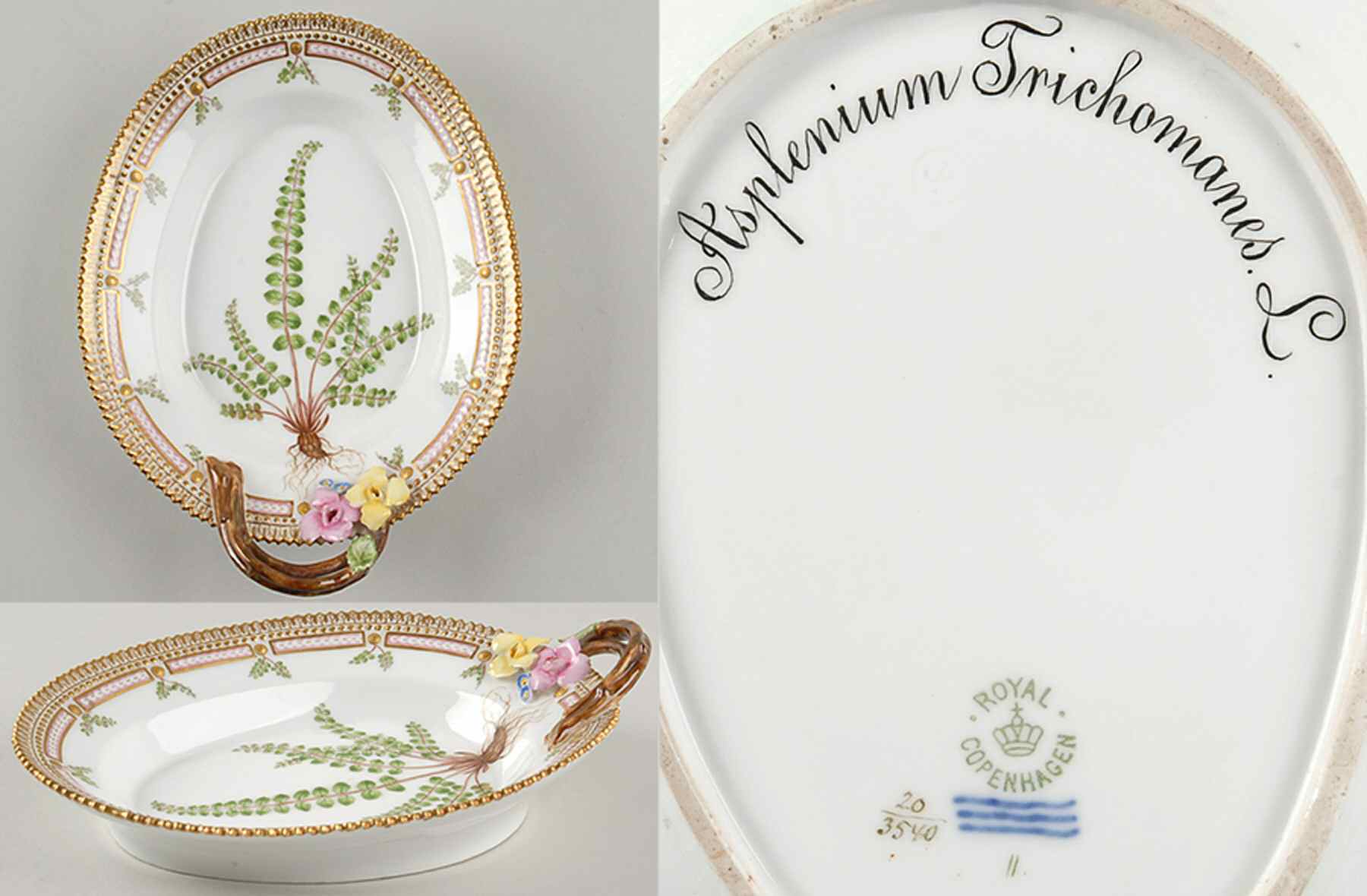Flora Danica (1790 To 1960) 8" Oval Handled Pickle/Accent-Asplenium Trichomane by Royal Copenhagen-1