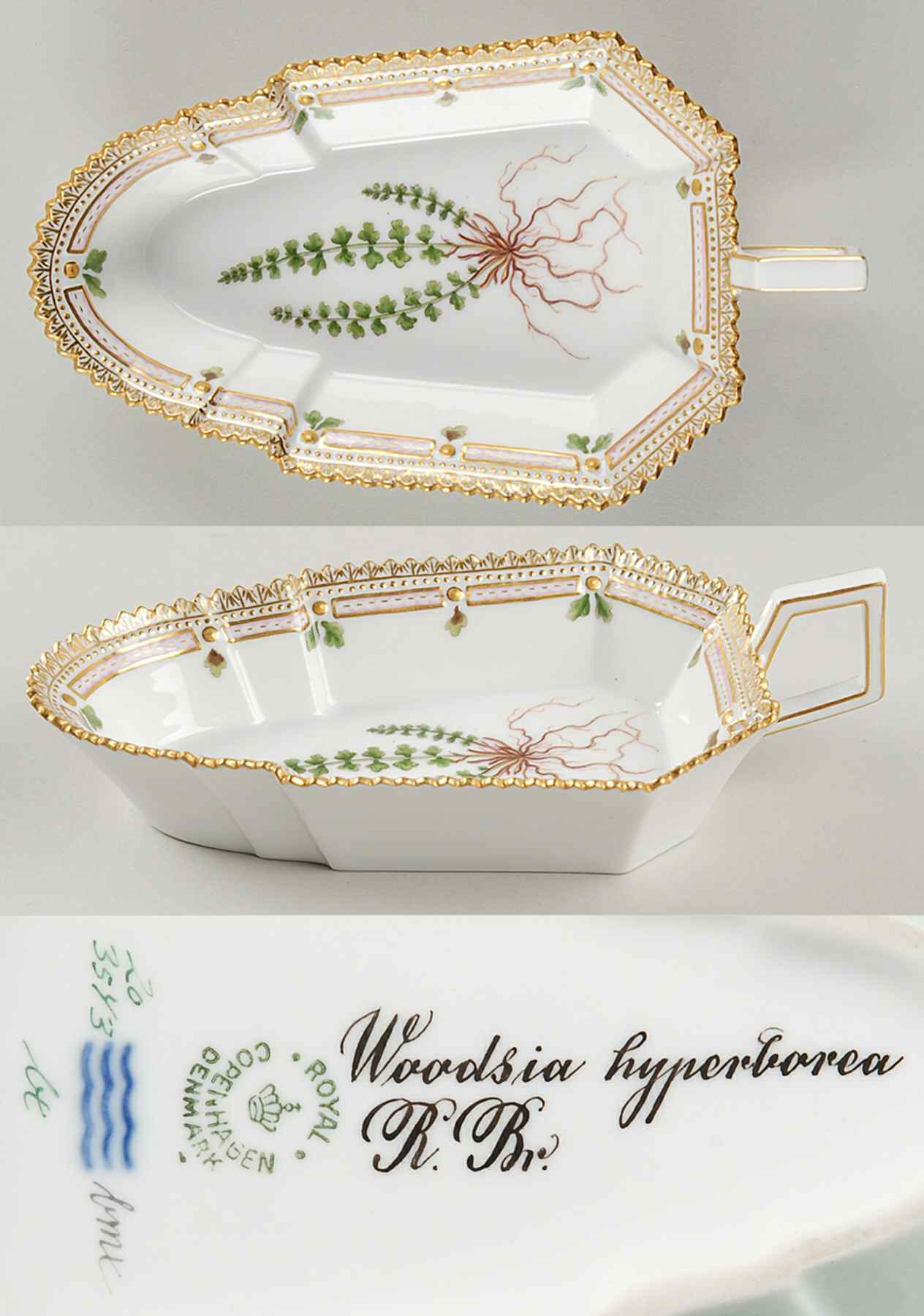 Flora Danica (1790 To 1960) 7" Pickle/Accent Dish-Woodsia hyperborea R Br by Royal Copenhagen-1
