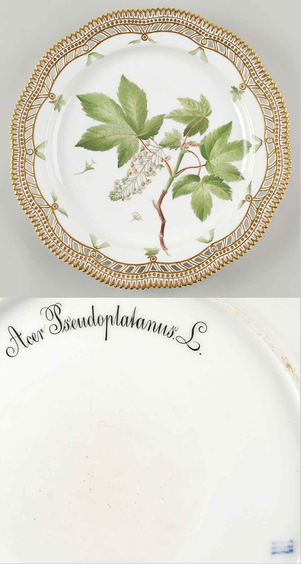 Flora Danica (1790 To 1960) 11" Round Pierced Platter-Acer Pseudoplatanus L by Royal Copenhagen-1