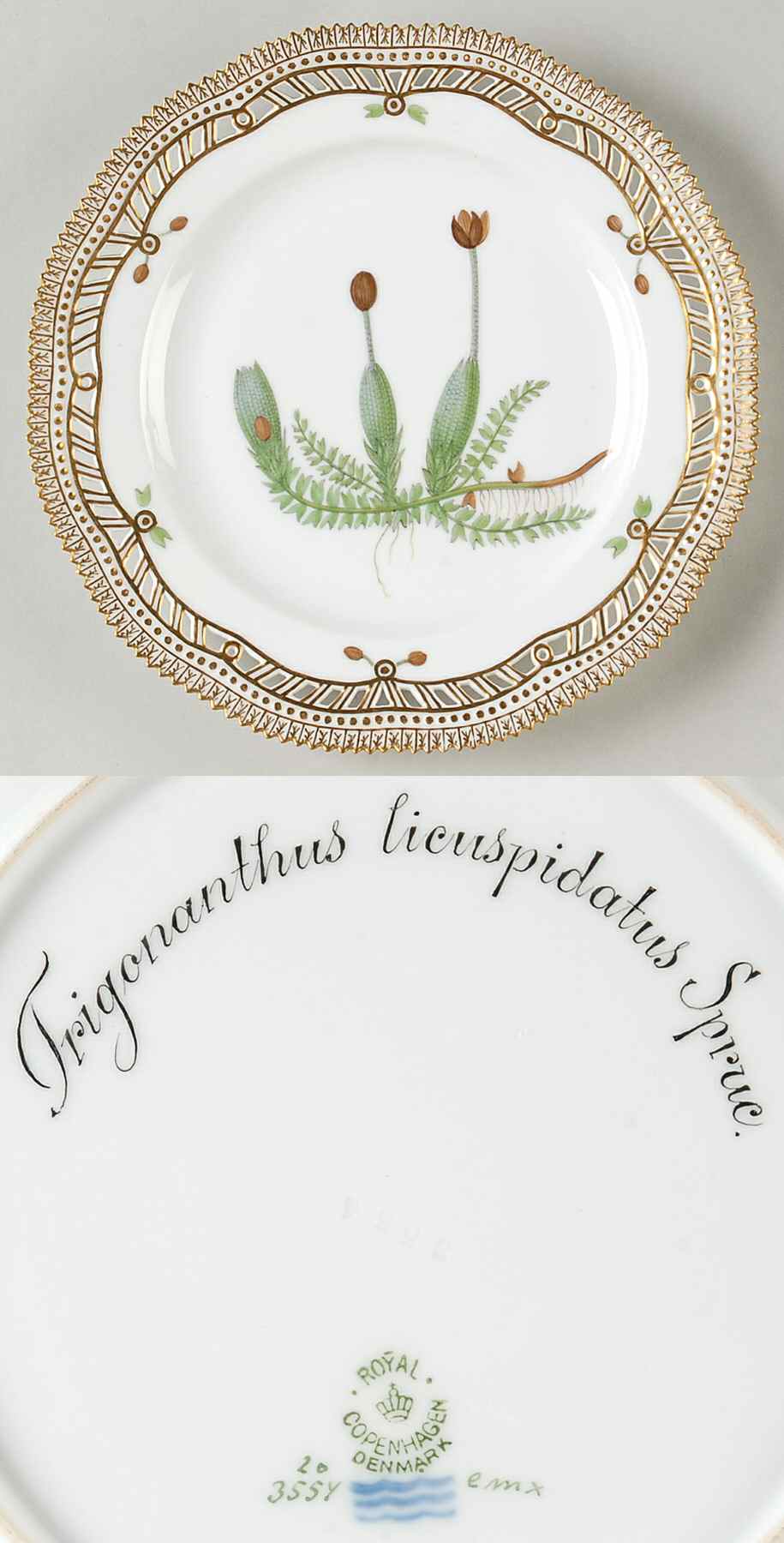 Flora Danica (1790 To 1960) 9" Pierced Luncheon Plate/Fruit Std-Trigonanthus l by Royal Copenhagen-1