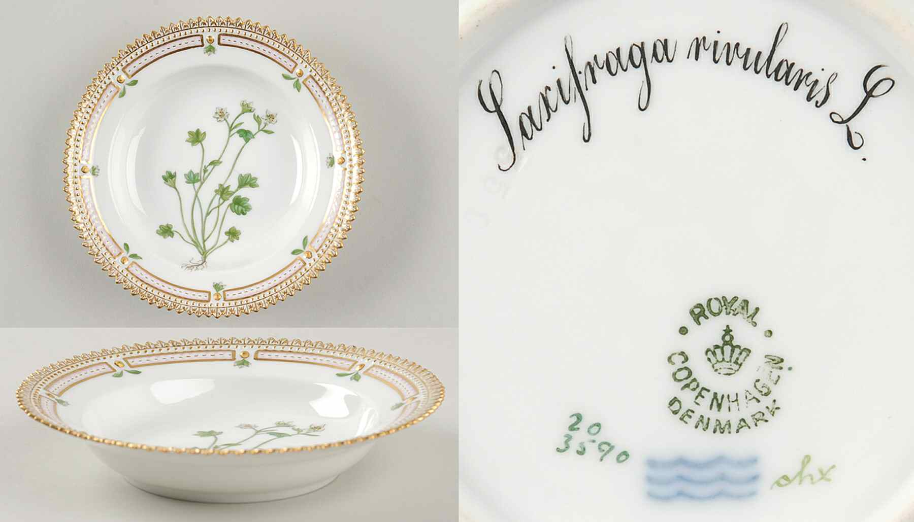 Flora Danica (1790 To 1960) Rim Fruit/Soup Bowl-Saxifraga rivularis L by Royal Copenhagen-1