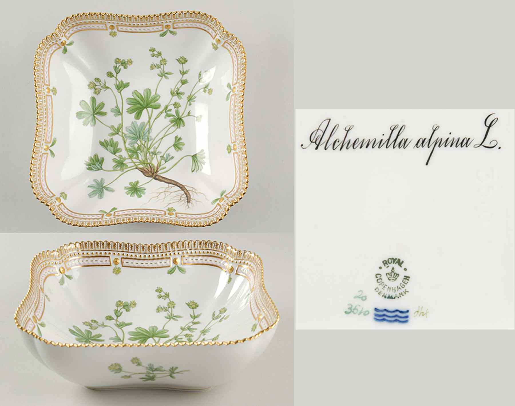 Flora Danica (1790 To 1960) 8" Square Salad Serving Bowl-Alchemilla alpina L. by Royal Copenhagen-1