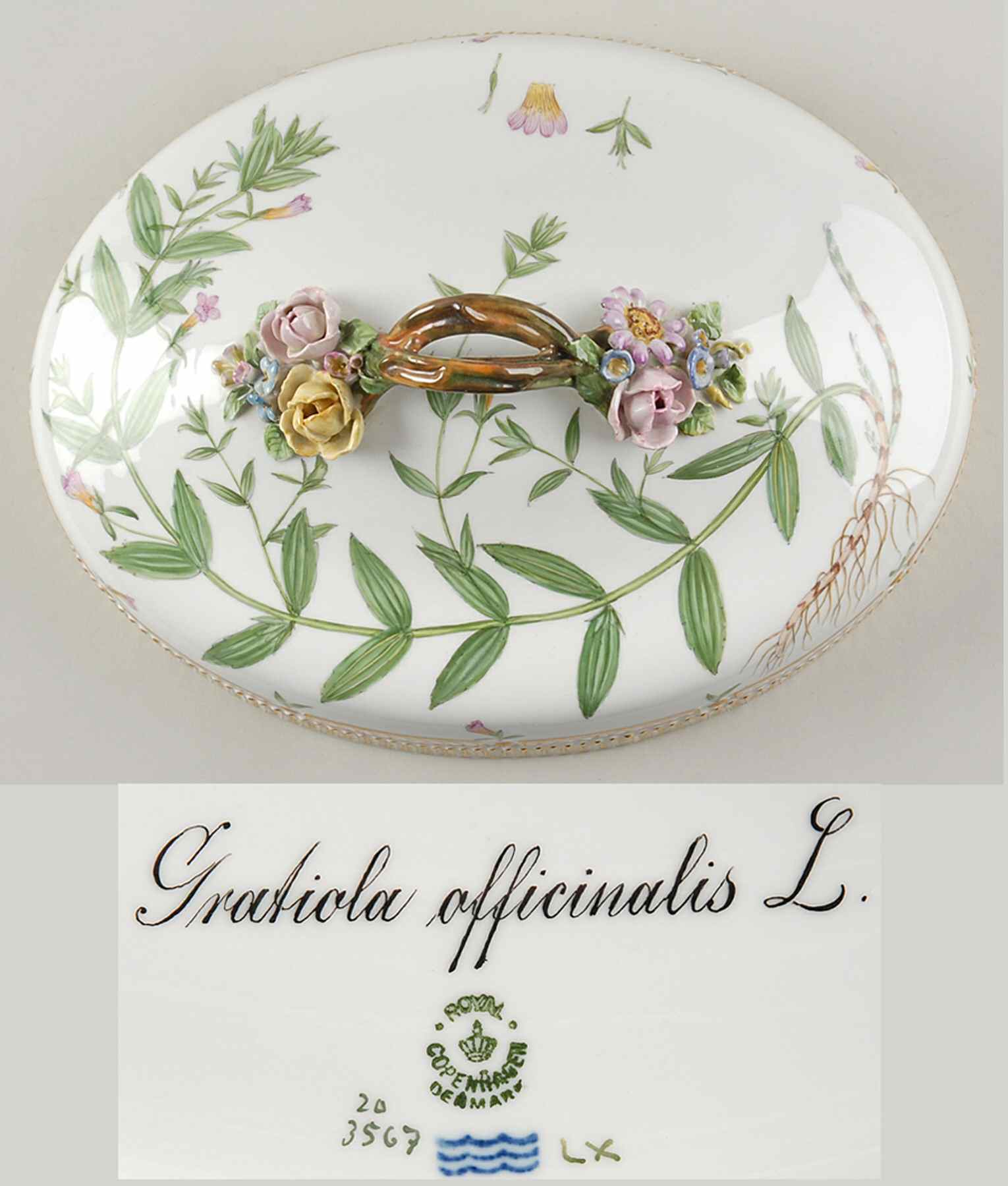 Flora Danica (1790 To 1960) Lid for Oval Vegetable-Gratiola afficinalis L by Royal Copenhagen-1