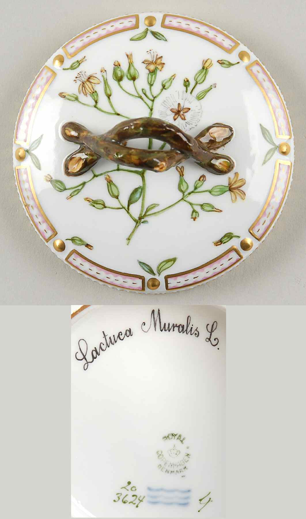 Flora Danica (1790 To 1960) Lid for Small Sugar Bowl-Lactuca Muralis L by Royal Copenhagen-1