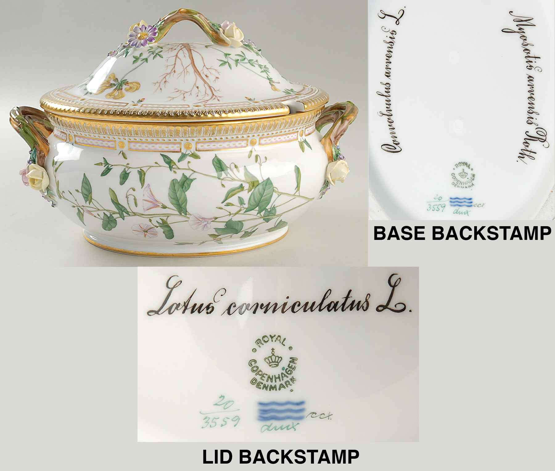 Flora Danica (1790 To 1960) 4Qt Oval Tureen & Lid-Convo arv, Myos ar, Lotus co by Royal Copenhagen-1