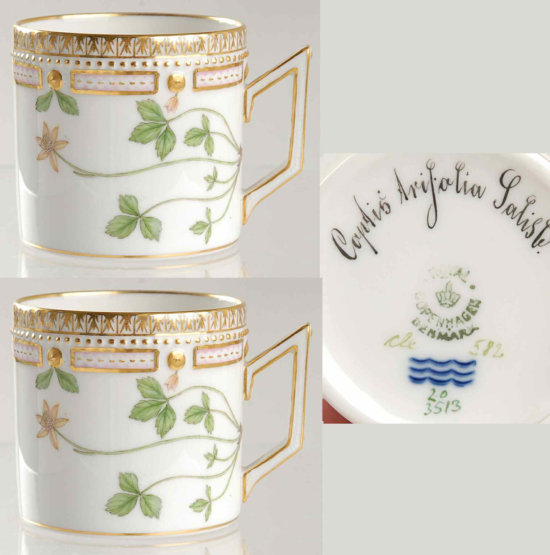 Flora Danica (1790 To 1960) Chocolate Cup-Coptis Arijalia Salish by Royal Copenhagen-1