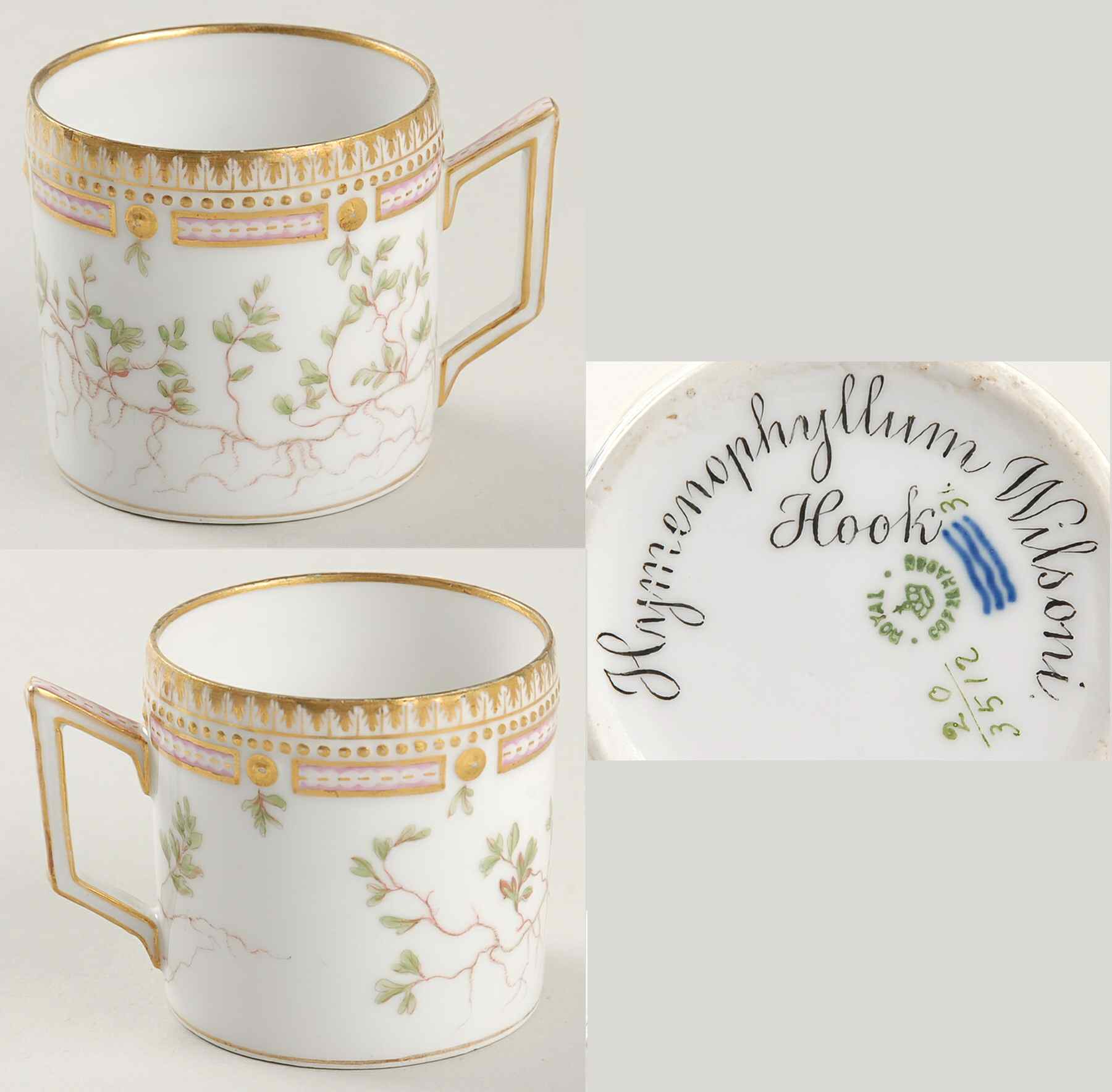 Flora Danica (1790 To 1960) Chocolate Cup-Hymenophyllum Wilsoni Hook by Royal Copenhagen-1