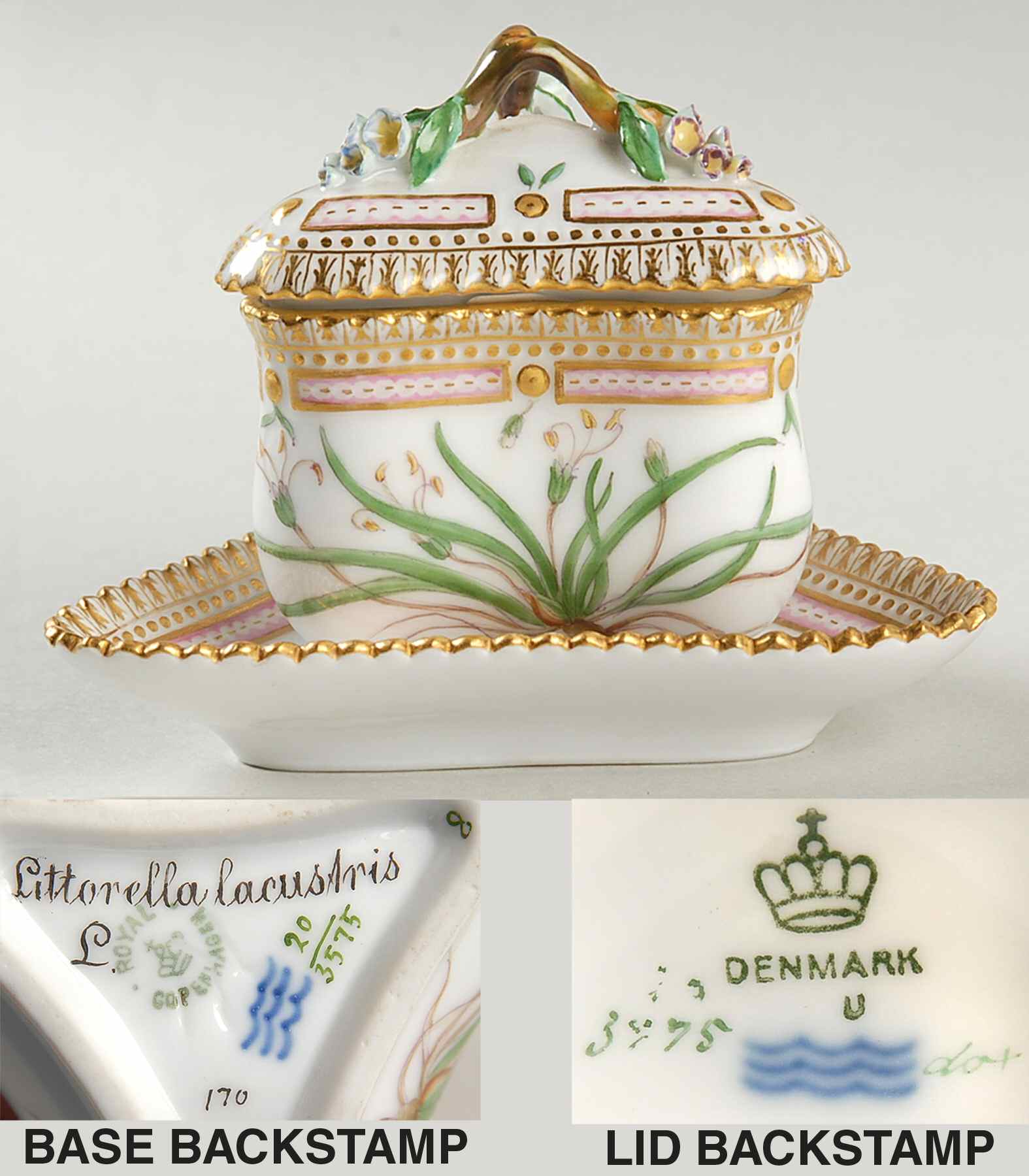 Flora Danica (1790 To 1960) Triangular Custard Cup, Saucer & Lid-Littorella la by Royal Copenhagen-1