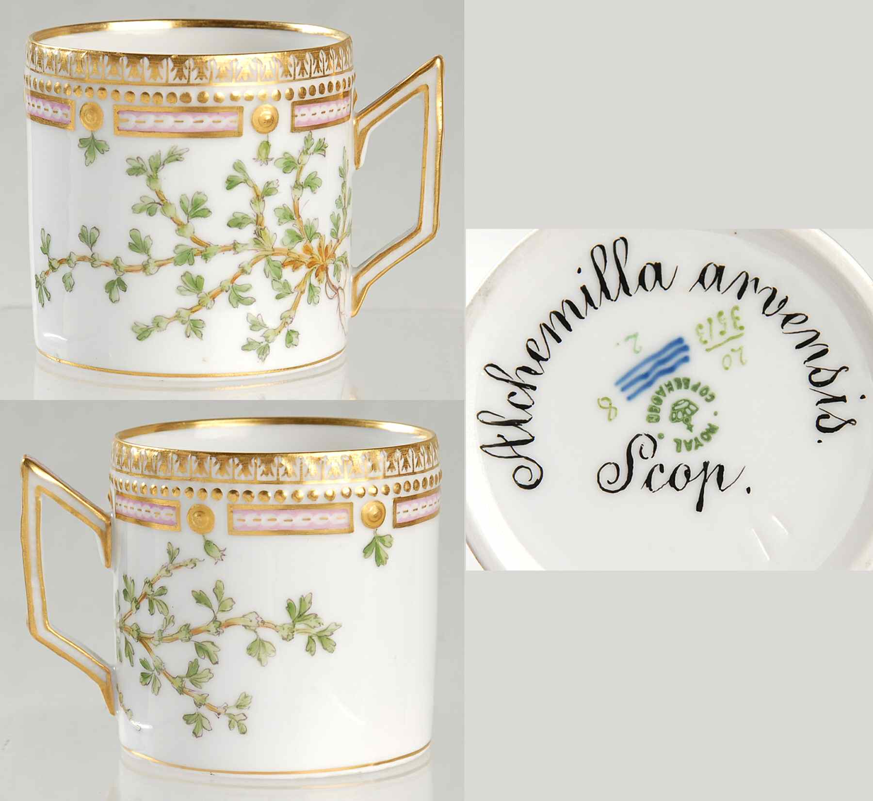 Flora Danica (1790 To 1960) Chocolate Cup-Alchemilla arvensis Scop by Royal Copenhagen-1