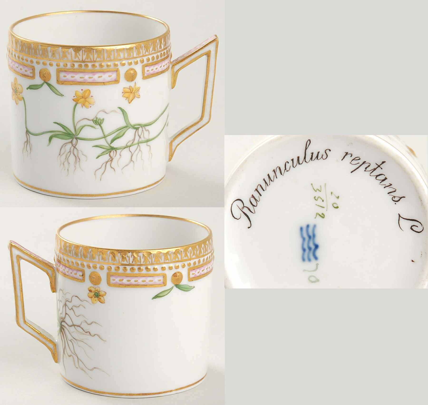 Flora Danica (1790 To 1960) Chocolate Cup-Ranunculus reptans L by Royal Copenhagen-1