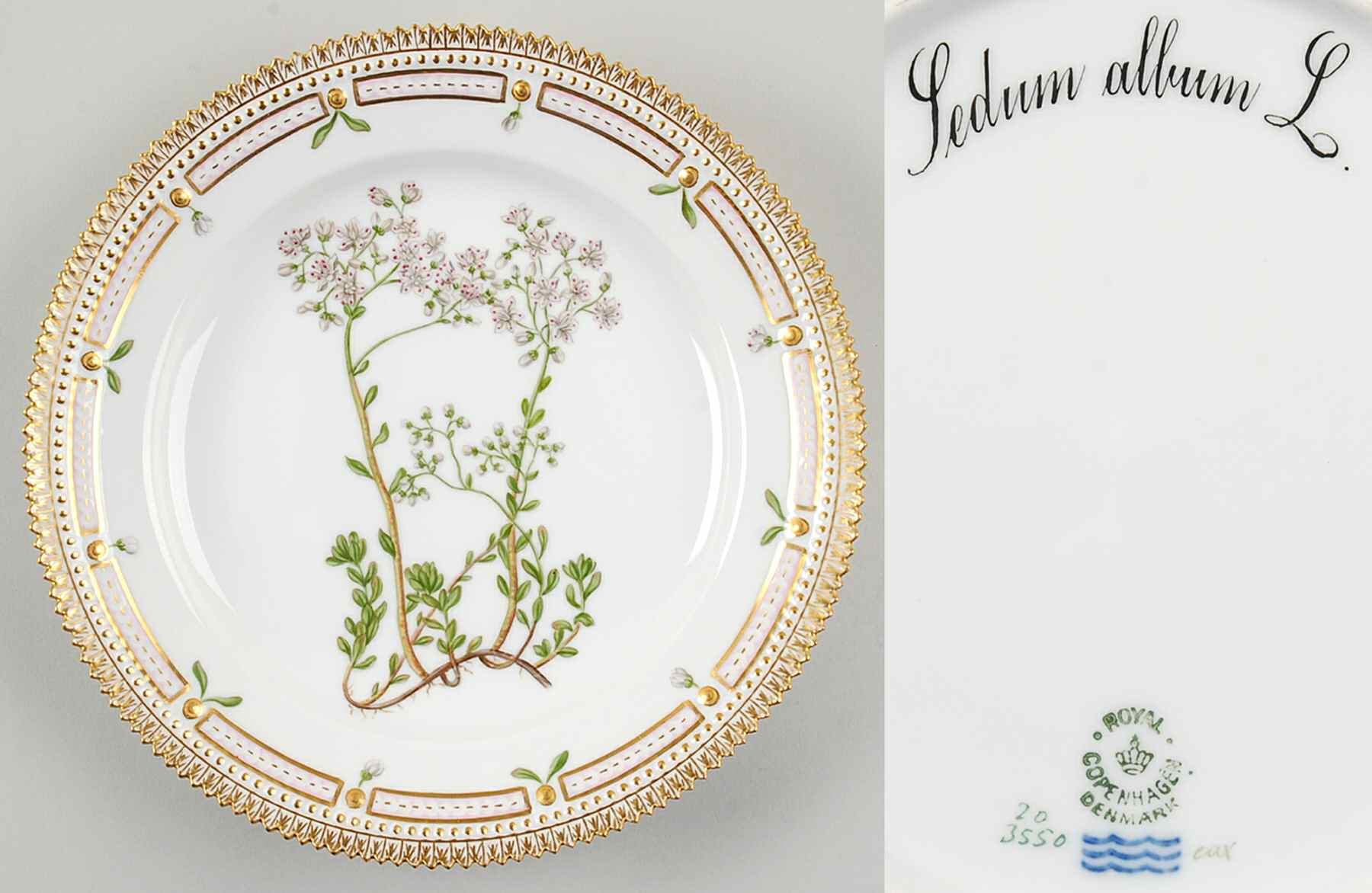Flora Danica (1790 To 1960) Luncheon Plate-Sedum album L by Royal Copenhagen-1