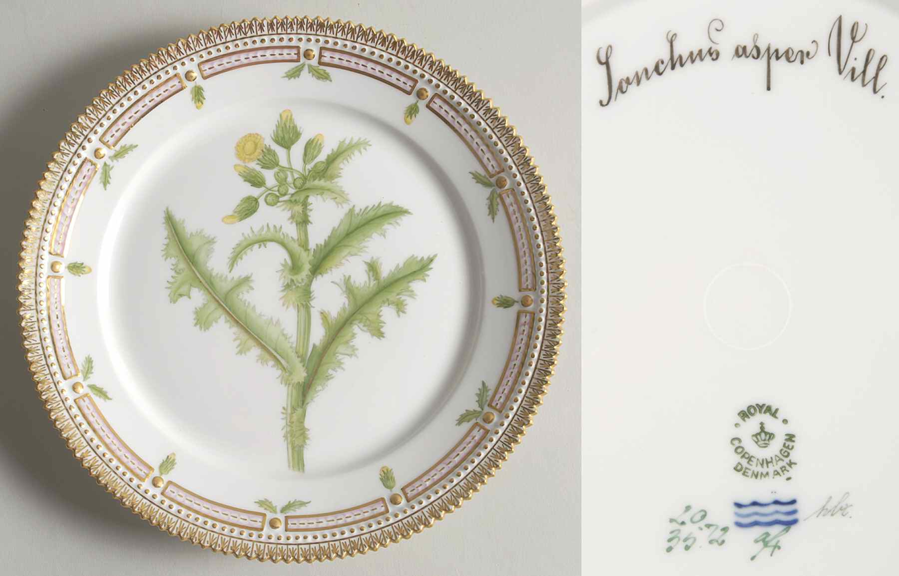Flora Danica (1790 To 1960) Luncheon Plate-Lonchus asper Vill by Royal Copenhagen-1