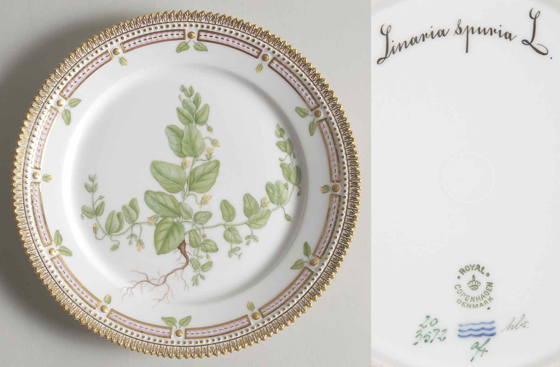 Flora Danica (1790 To 1960) Luncheon Plate-Linaria spuria L by Royal Copenhagen-1