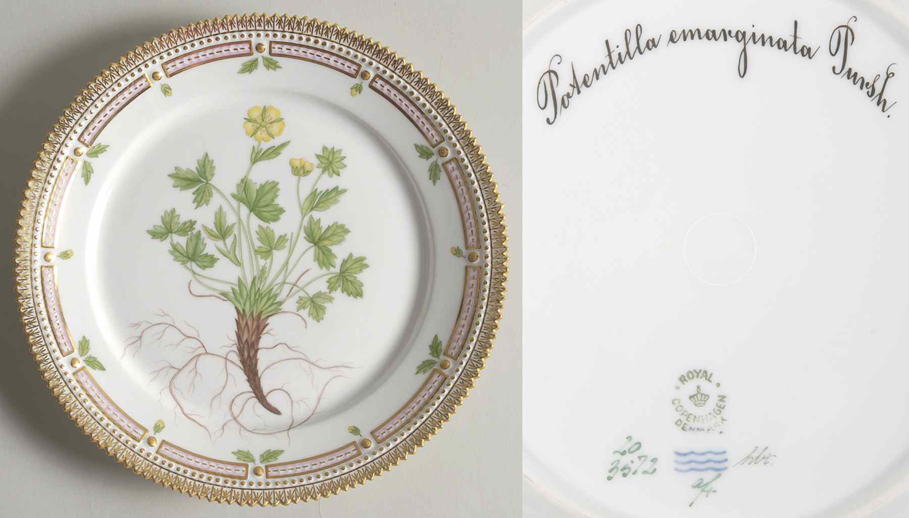 Flora Danica (1790 To 1960) Luncheon Plate-Potentilla emarginata Pursh by Royal Copenhagen-1