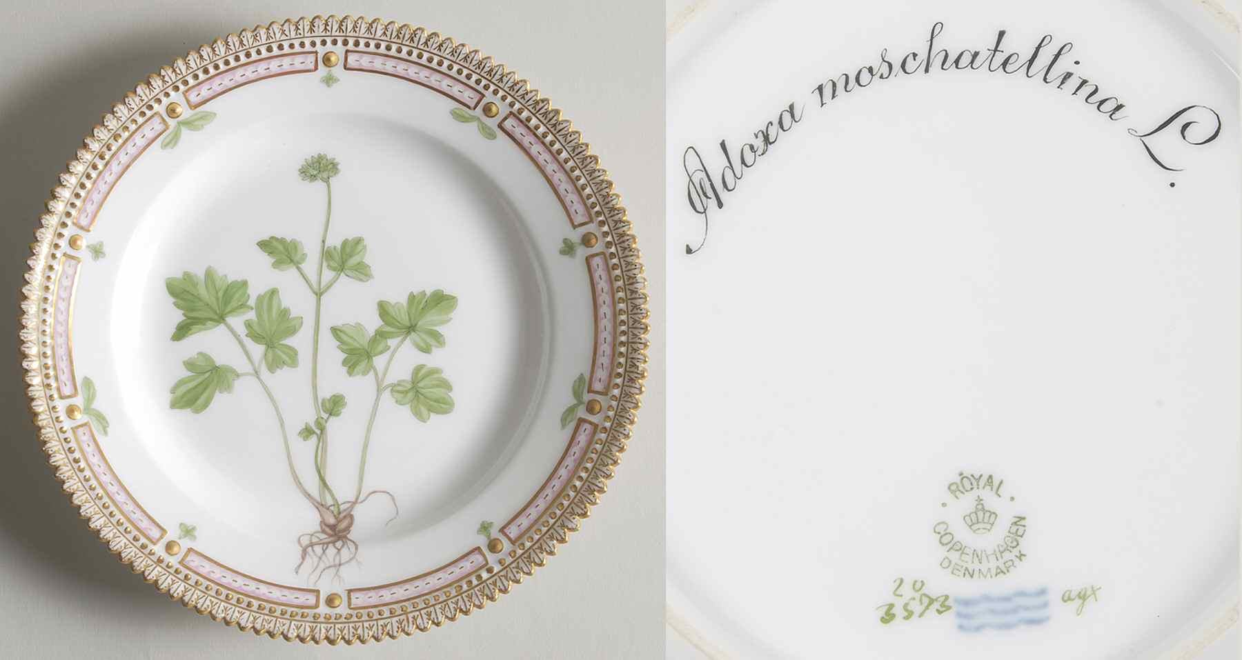 Flora Danica (1790 To 1960) Salad Plate-Adoxa moschatellina L by Royal Copenhagen-1