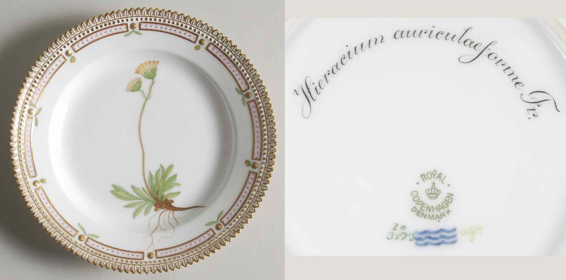 Flora Danica (1790 To 1960) Salad Plate-Hieracium auriculaeforme Fr by Royal Copenhagen-1