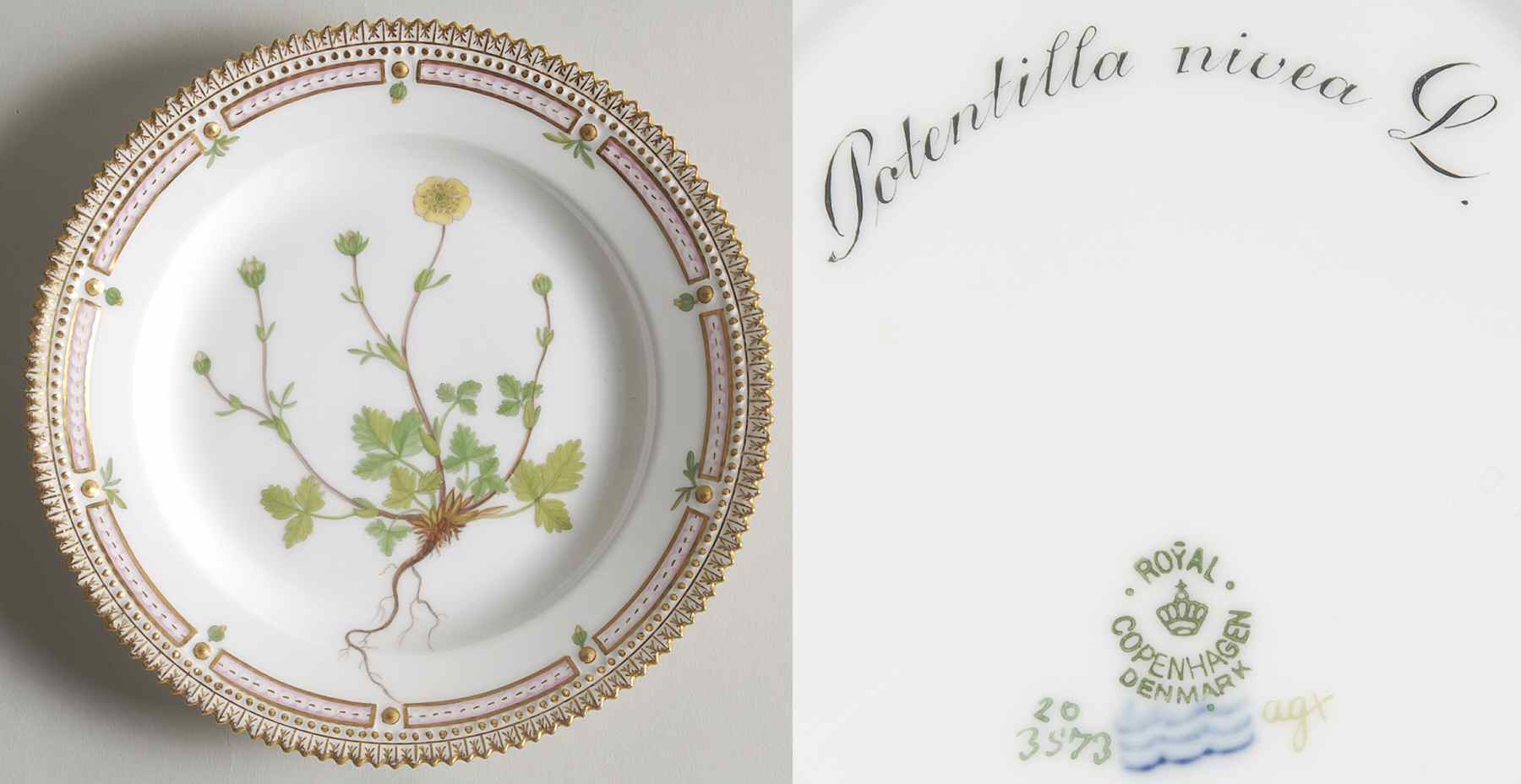 Flora Danica (1790 To 1960) Salad Plate-Potentilla nivea L by Royal Copenhagen-1