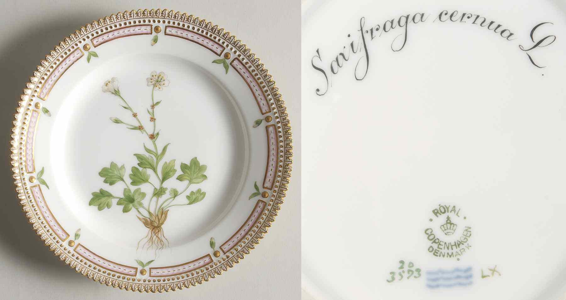 Flora Danica (1790 To 1960) Salad Plate-Saxifraga Cernua L by Royal Copenhagen-1
