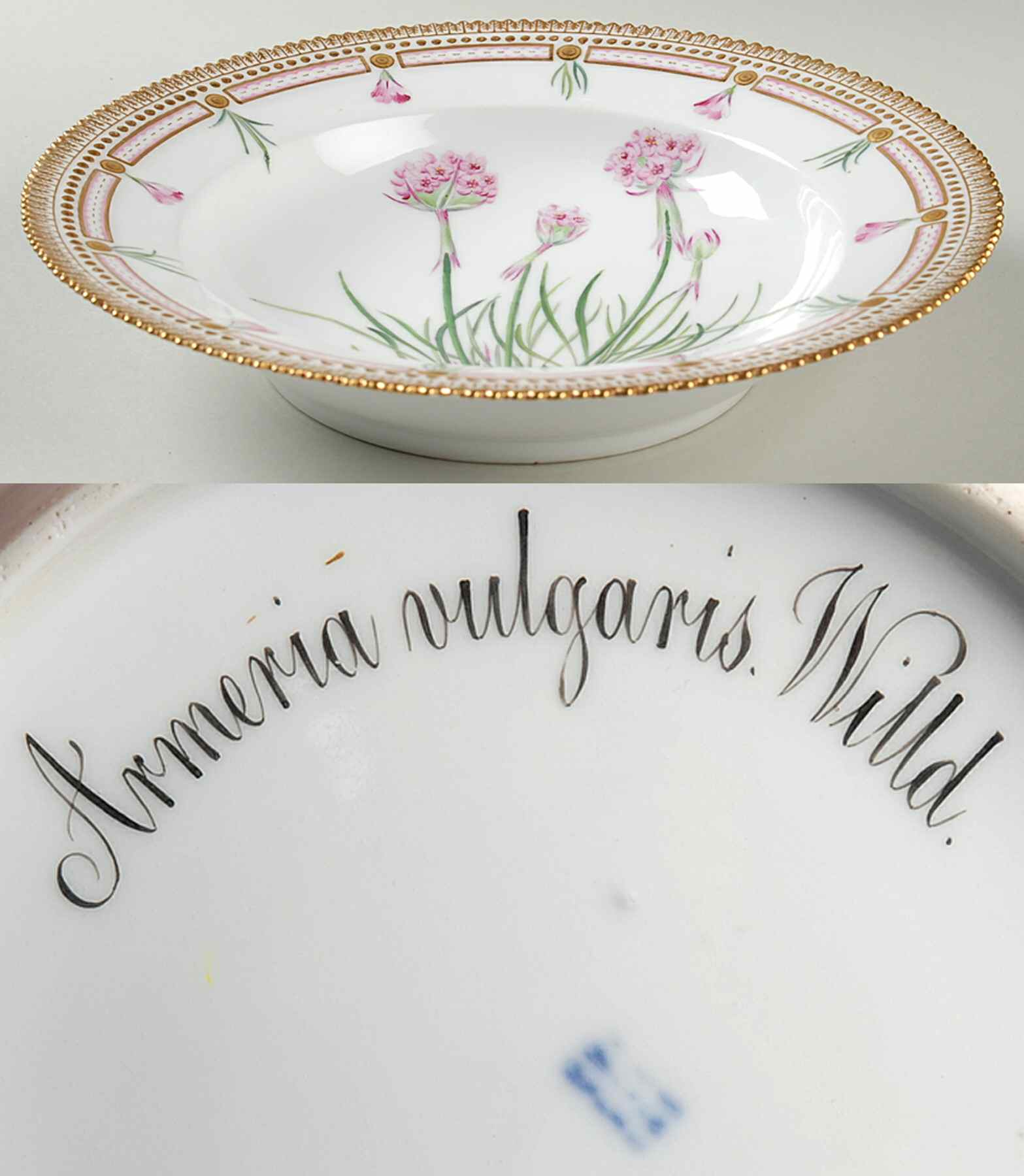 Flora Danica (1790 To 1960) Large Rim Soup Bowl-Armeria vulgaris Willd by Royal Copenhagen-1