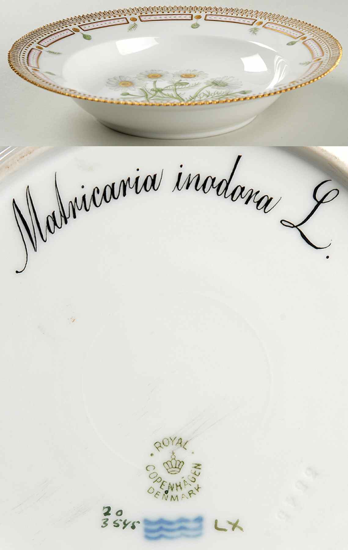Flora Danica (1790 To 1960) Large Rim Soup Bowl-Matricaria inodora L by Royal Copenhagen-1