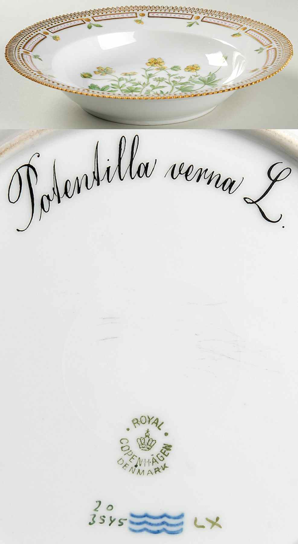 Flora Danica (1790 To 1960) Large Rim Soup Bowl-Potentilla verna L by Royal Copenhagen-1
