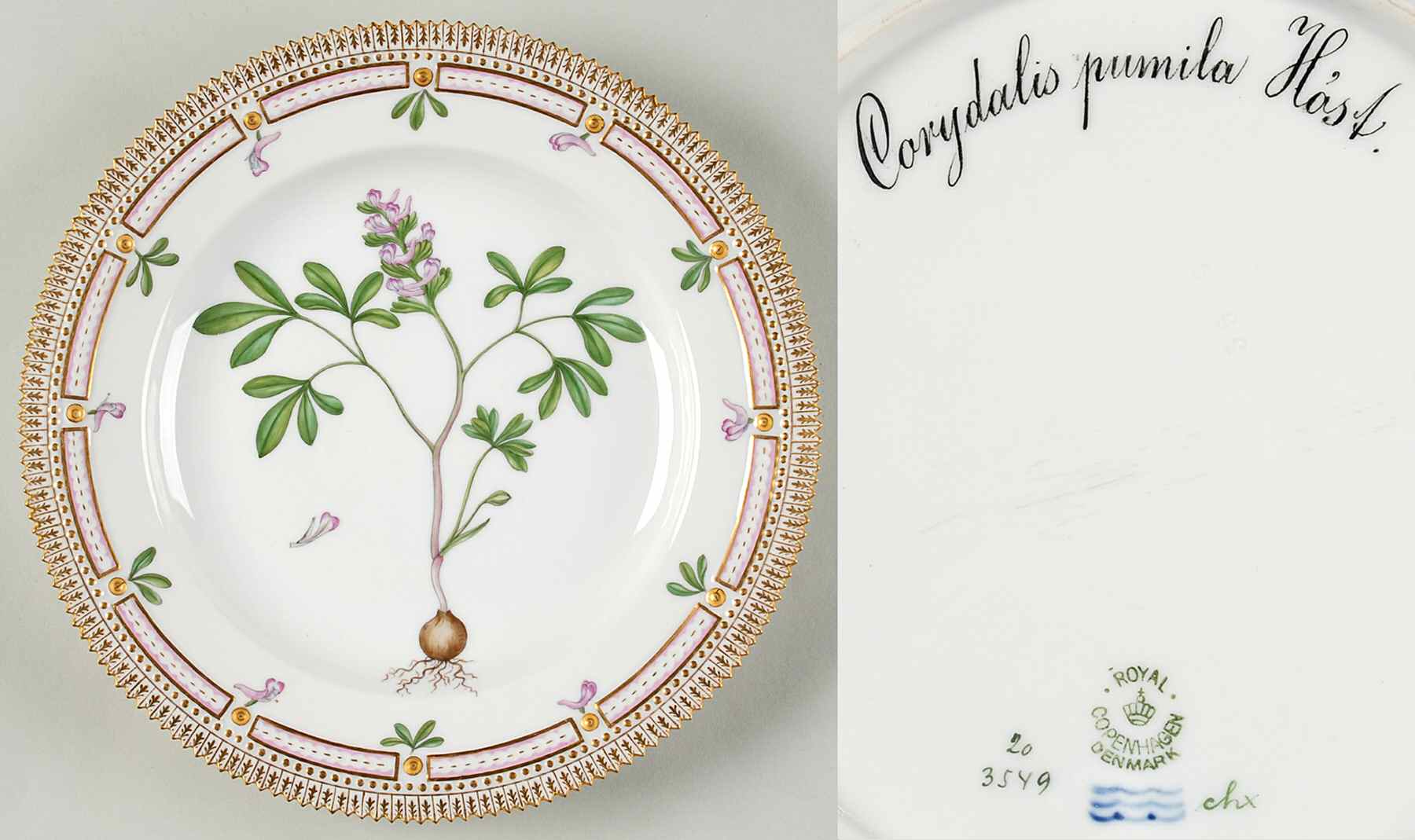 Flora Danica (1790 To 1960) Dinner Plate-Corydalis pumila Host by Royal Copenhagen-1