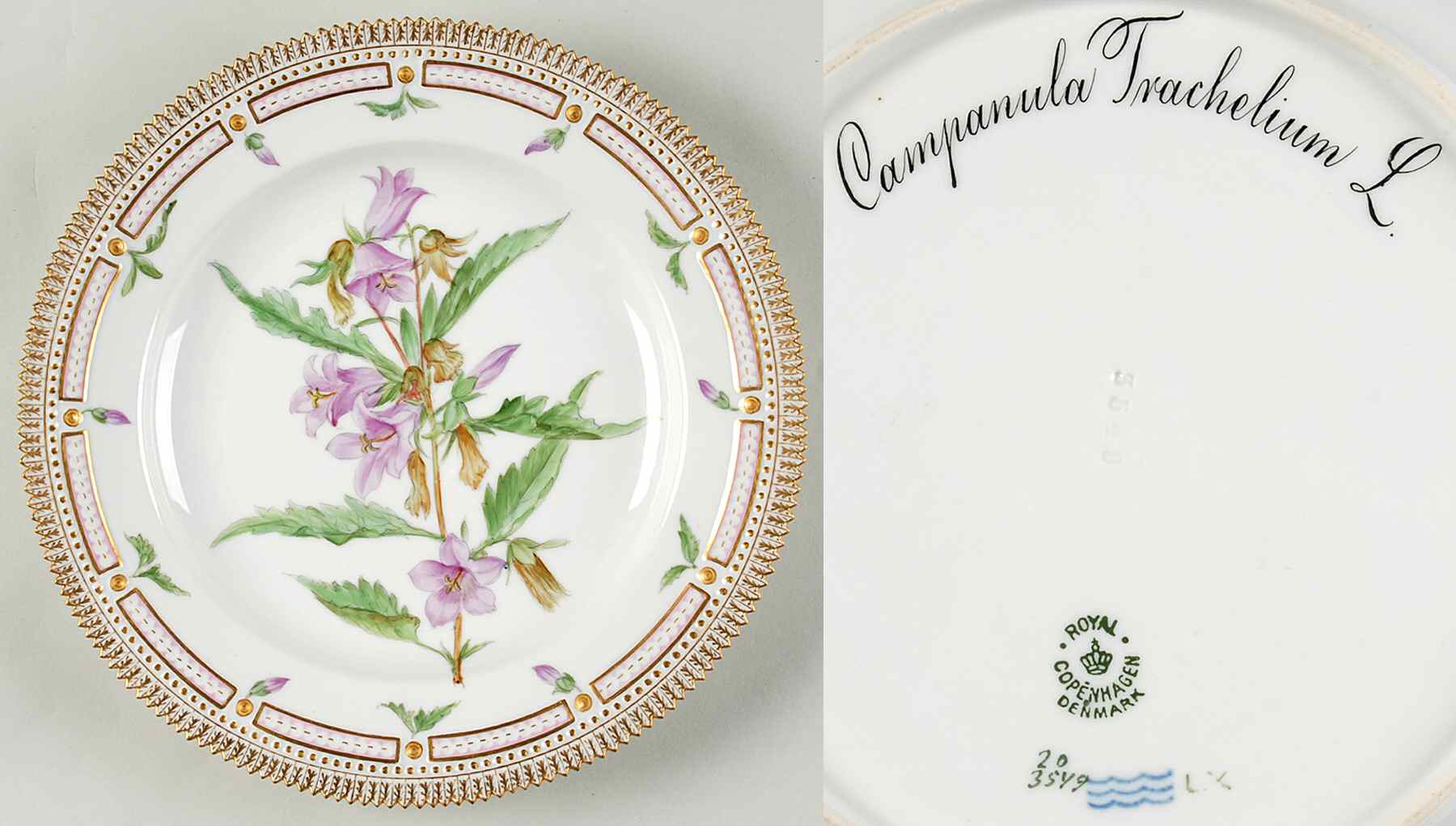 Flora Danica (1790 To 1960) Dinner Plate-Campanula Trachelium L by Royal Copenhagen-1