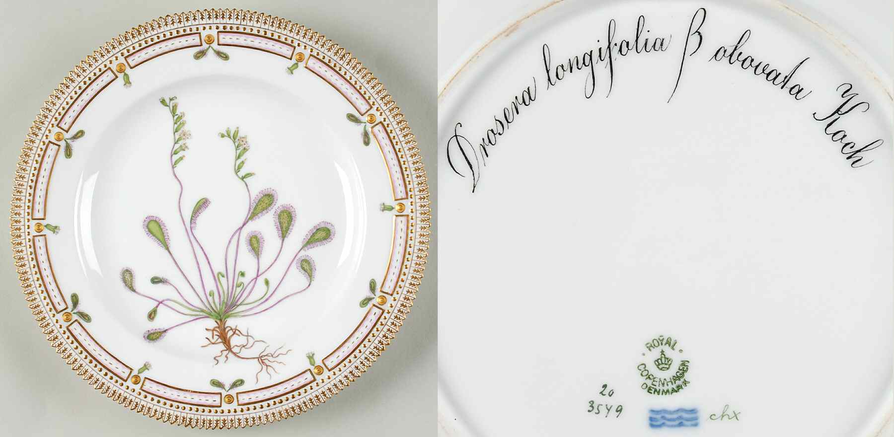 Flora Danica (1790 To 1960) Dinner Plate-Drosera longifolia B obovata Koch by Royal Copenhagen-1