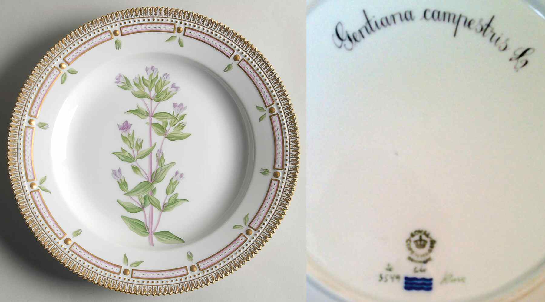 Flora Danica (1790 To 1960) Dinner Plate-Gentiana campestris L by Royal Copenhagen-1
