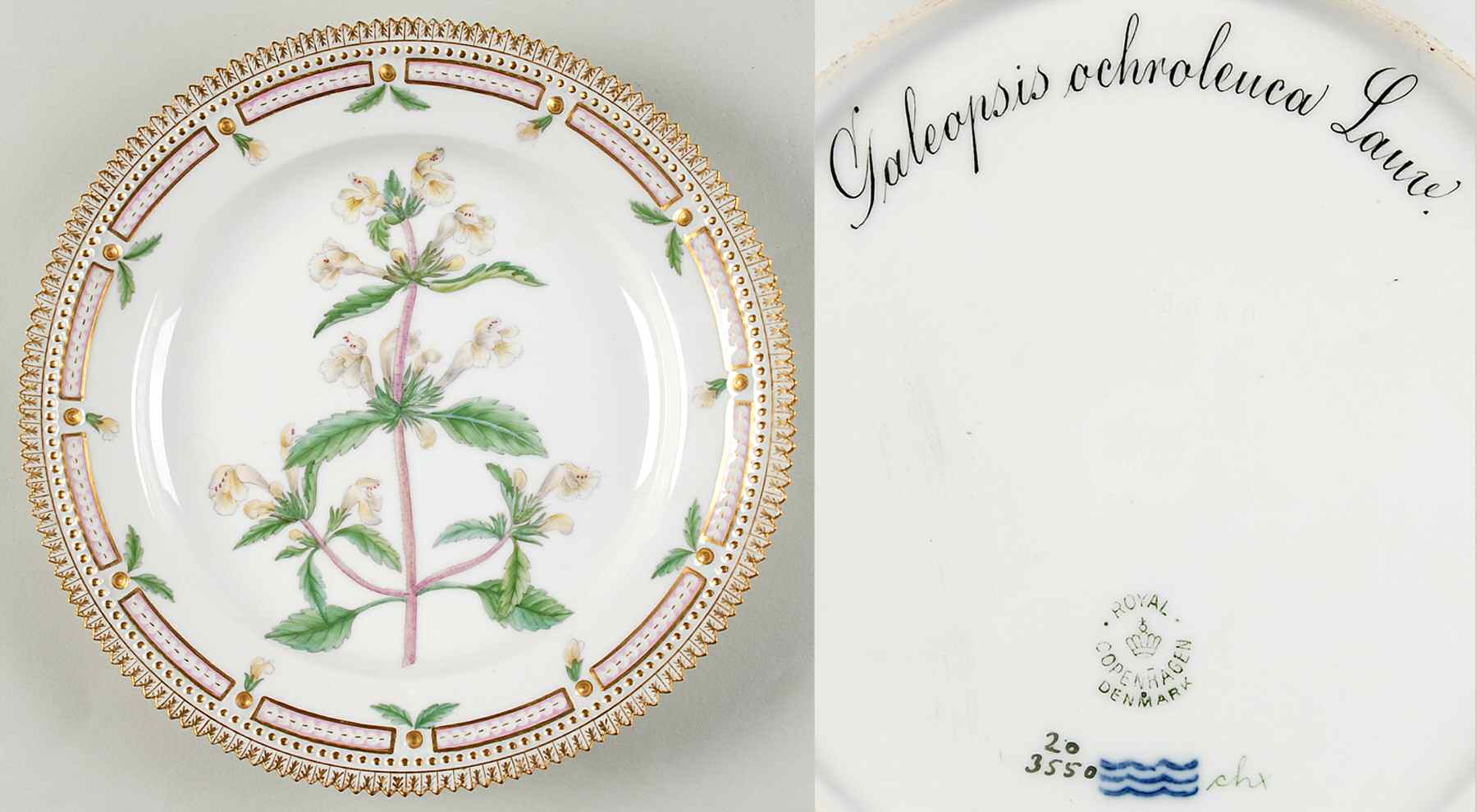 Flora Danica (1790 To 1960) Luncheon Plate-Galeopsis ochrolauca Lauv by Royal Copenhagen-1