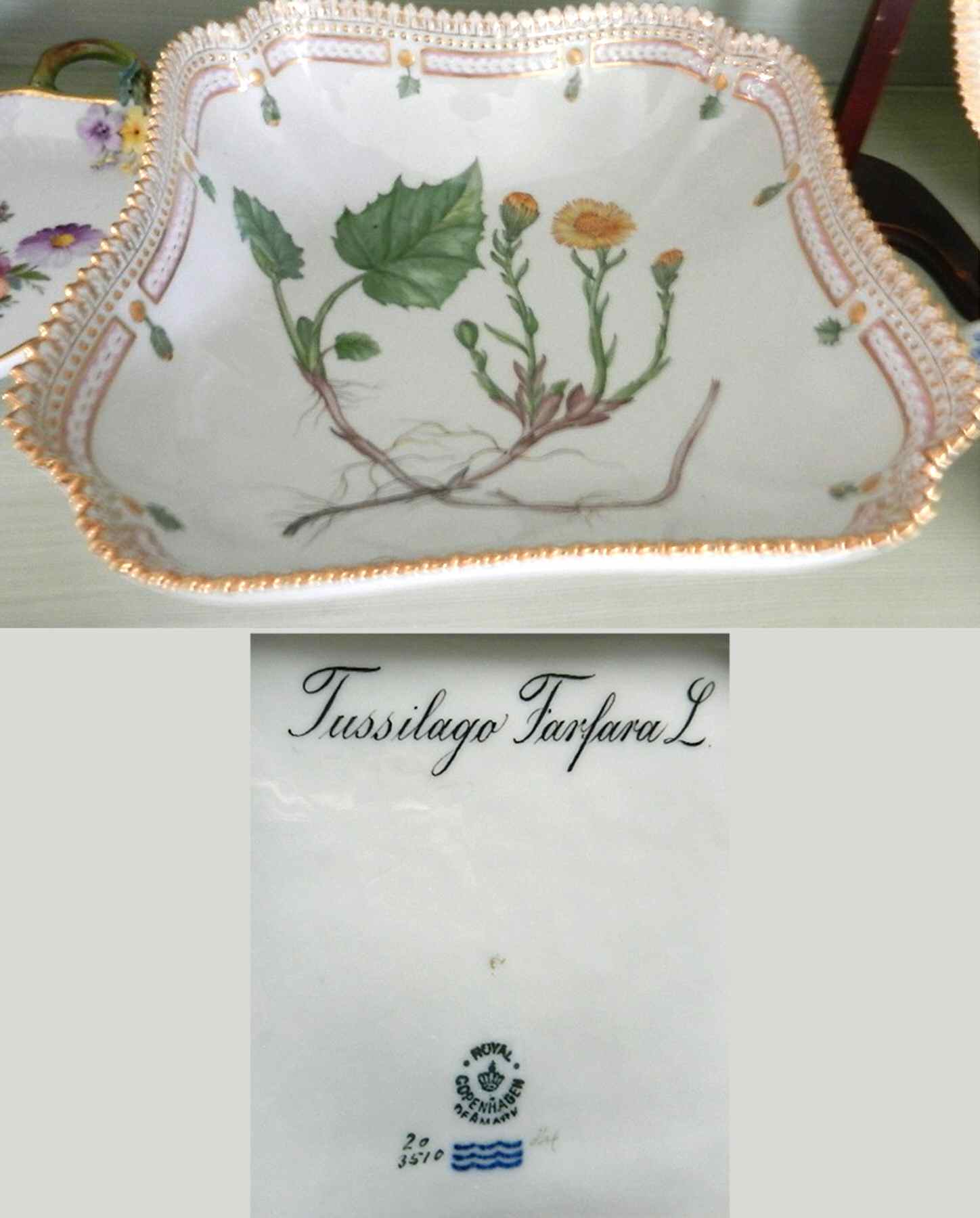 Flora Danica (1790 To 1960) 8" Square Salad Serving Bowl-Tussilago Farfara L by Royal Copenhagen-1