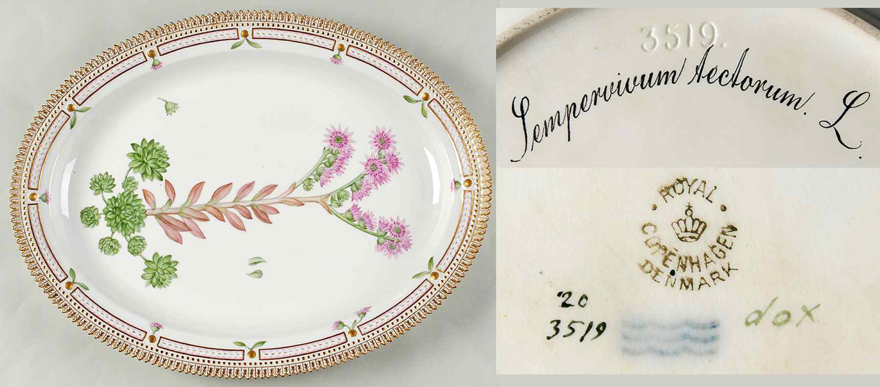 Flora Danica (1790 To 1960) 17" Oval Serving Platter-Sempervivum tectorum L by Royal Copenhagen-1