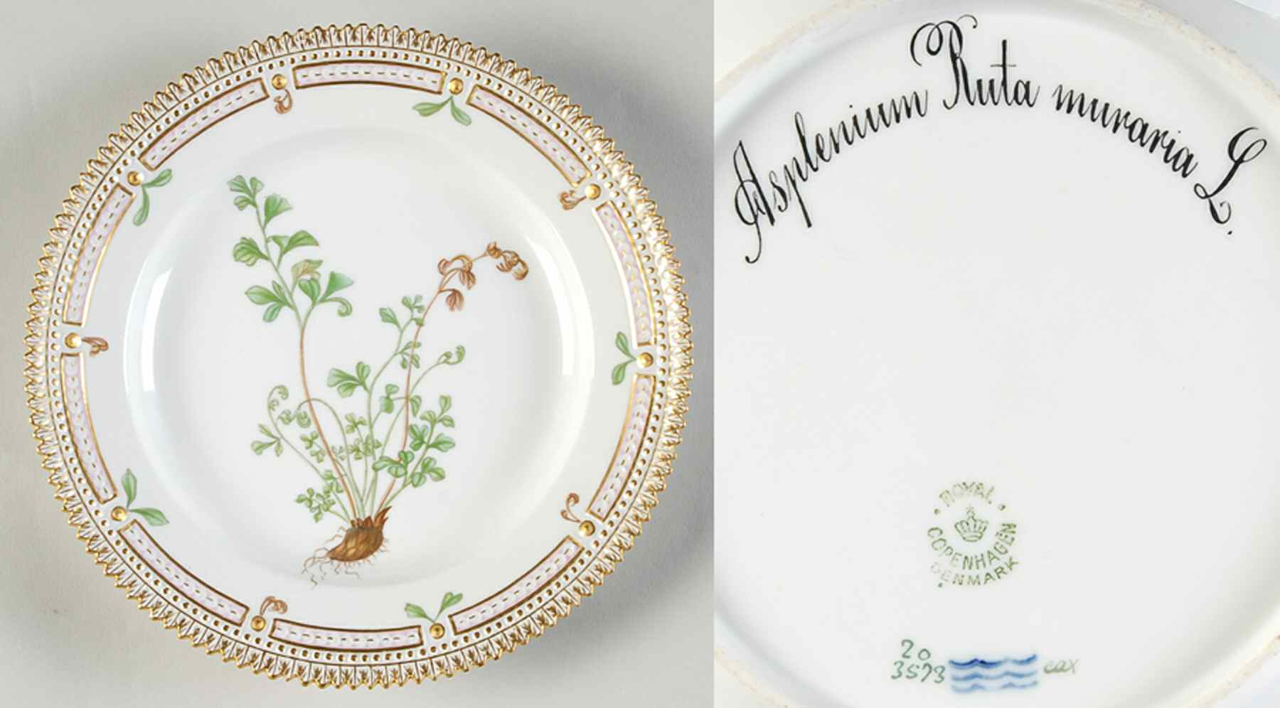 Flora Danica (1790 To 1960) Salad Plate-Asplenium Ruta muraria L by Royal Copenhagen-1