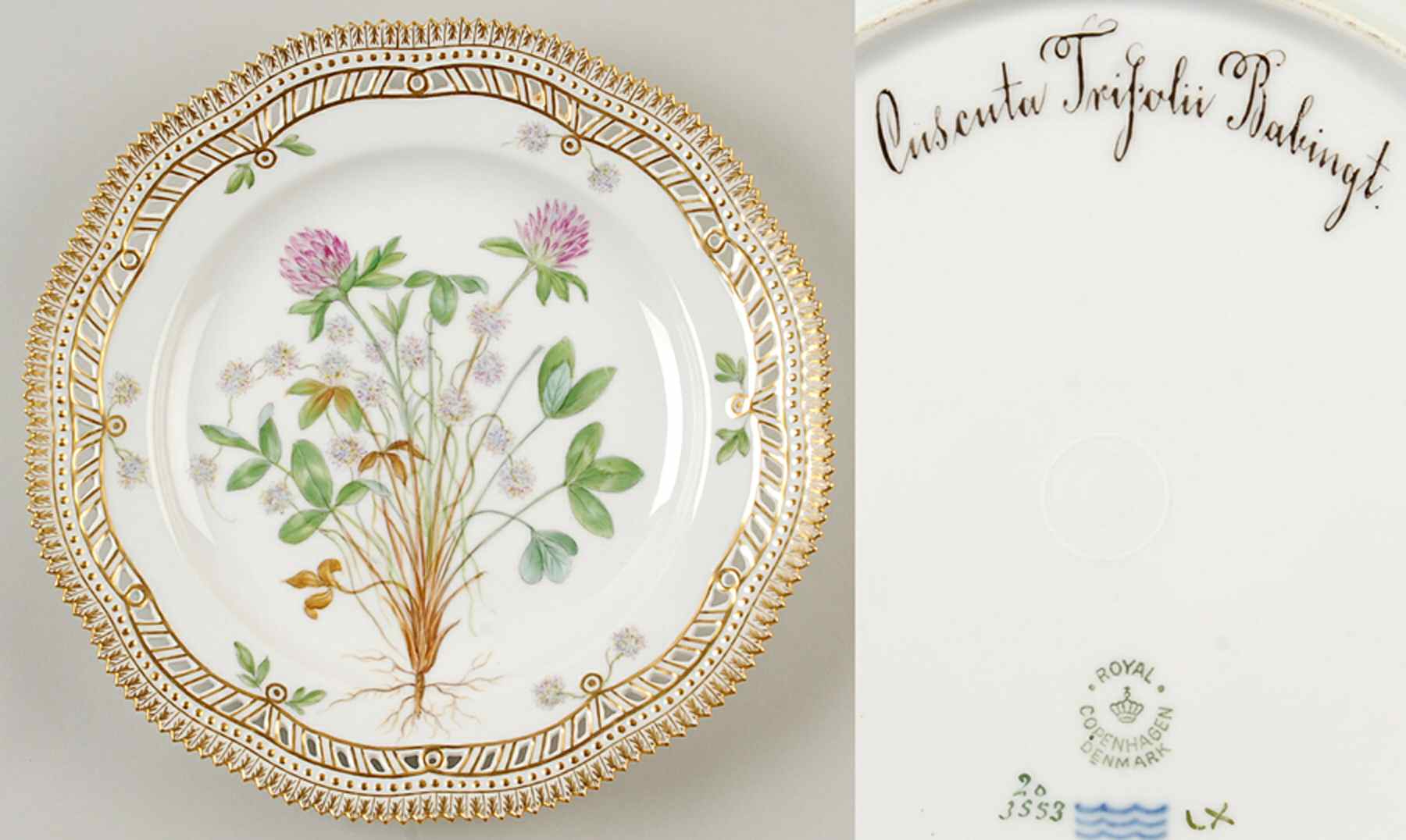 Flora Danica (1790 To 1960) 10" Pierced Dinner Plate/Fruit Std-Cuscuta Trifoli by Royal Copenhagen-1
