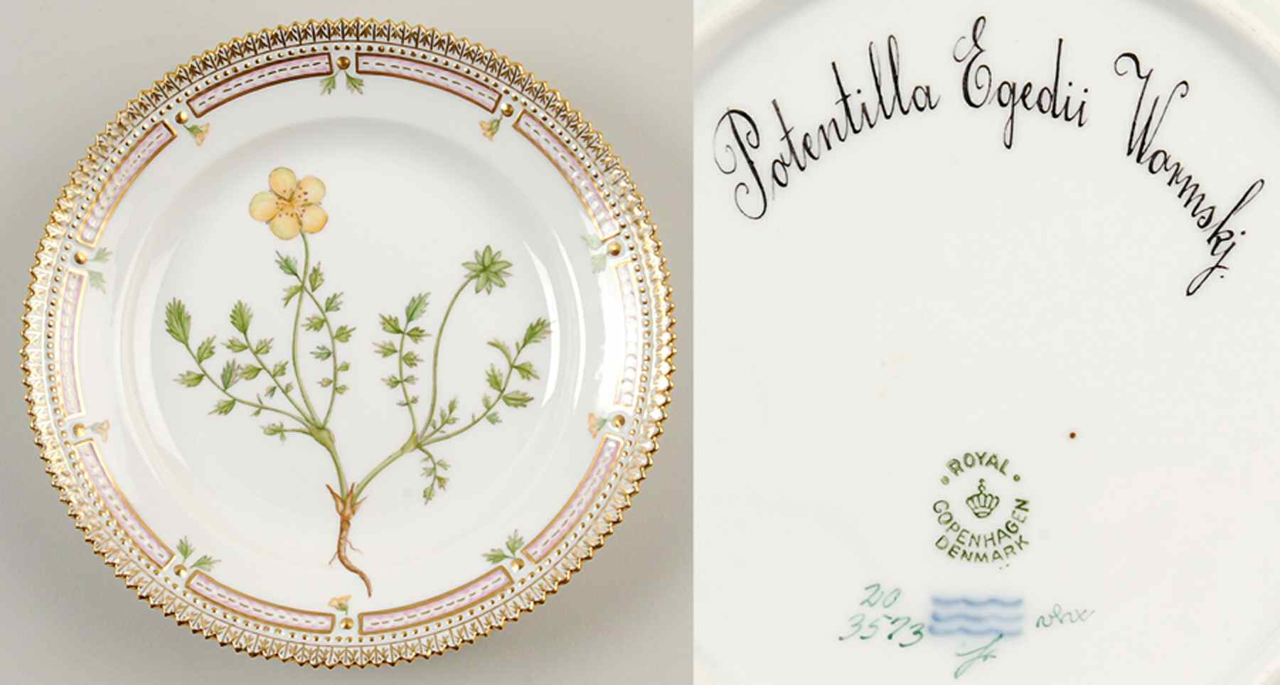 Flora Danica (1790 To 1960) Salad Plate-Potentilla Egedii Wormskj. by Royal Copenhagen-1