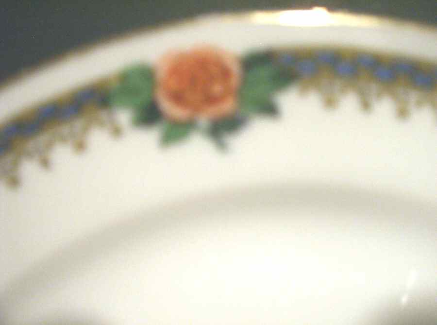 RDN199 Dinner Plate by M Redon-1