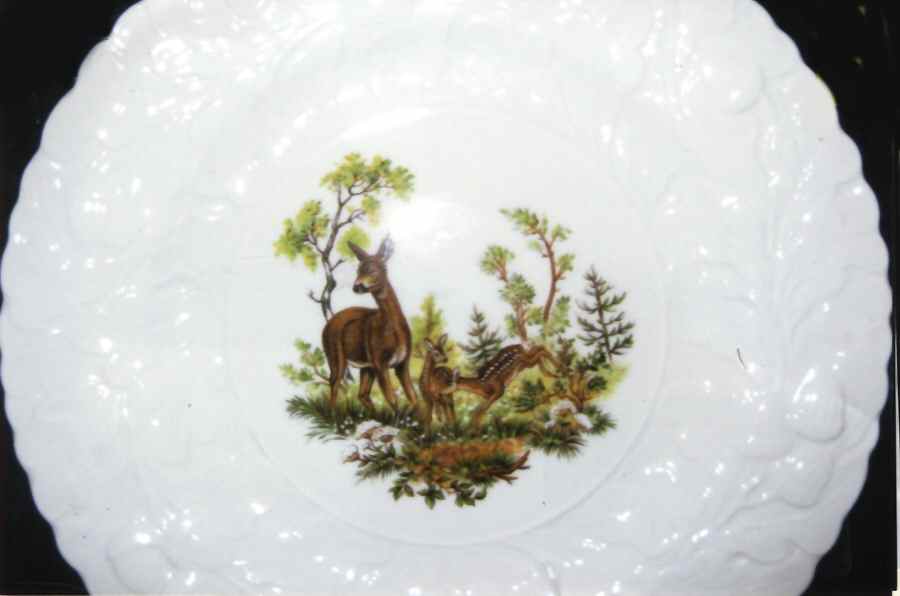Centenary Year (Animals, Embossed) Salad Plate by Rosina-Queens-1