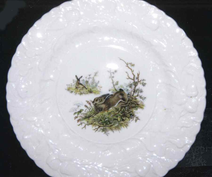 Centenary Year (Animals, Embossed) Salad Plate by Rosina-Queens-1
