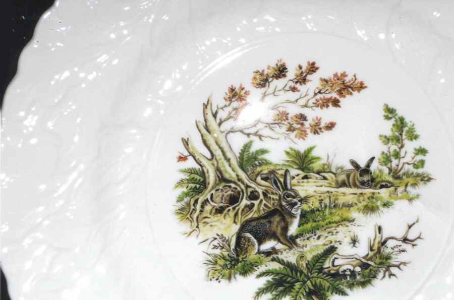 Centenary Year (Animals, Embossed) Salad Plate by Rosina-Queens-1